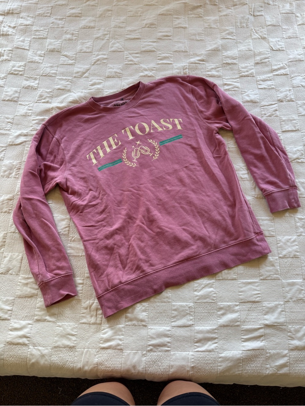 The Toast Relaxed Crewneck Sweatshirt - Mauve - Picture 2 of 4